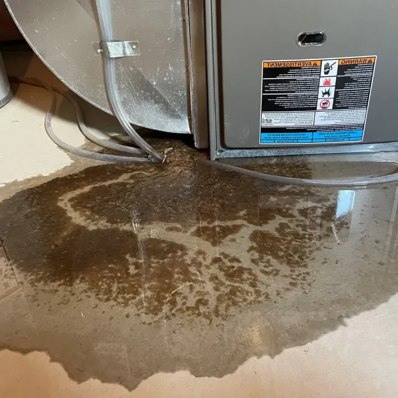 Pipe Burst and Leak Restoration in Bradford, PA