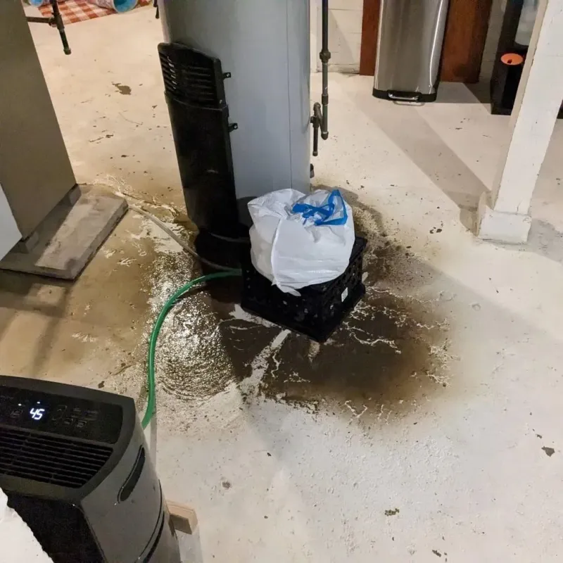 Sewage Backup Cleanup Service in Bradford, PA